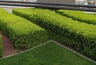 Willurahcommercial-landscaping-1.jpg; ?>